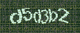 CAPTCHA_picture