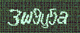 CAPTCHA_picture